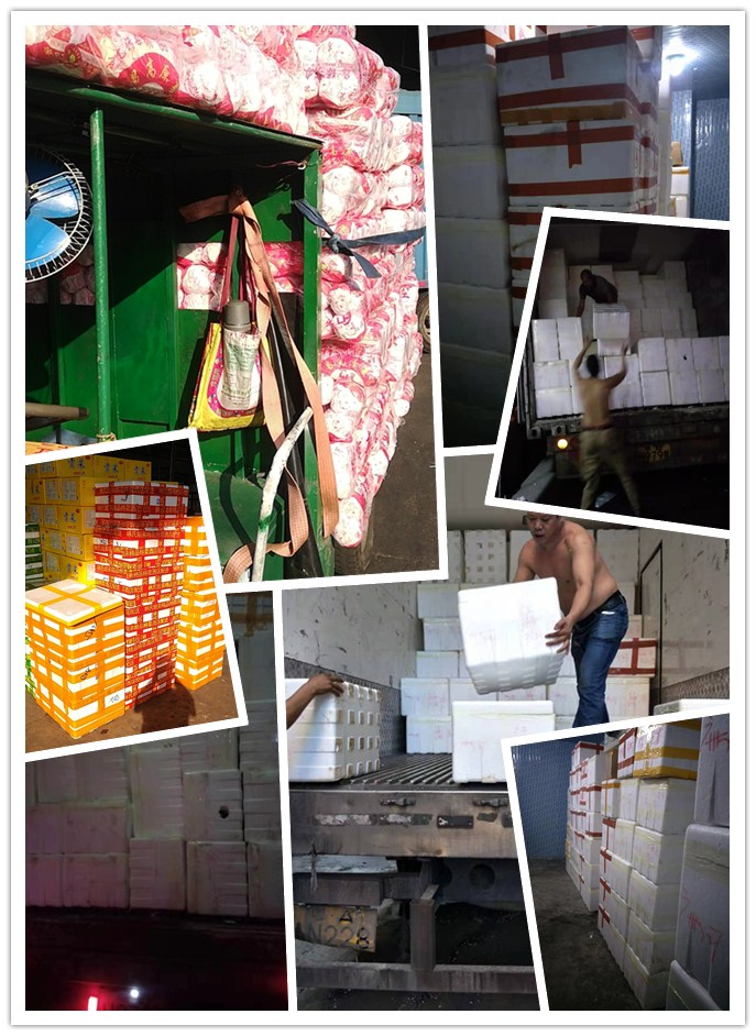 bti体育平台·(中国)官方网站