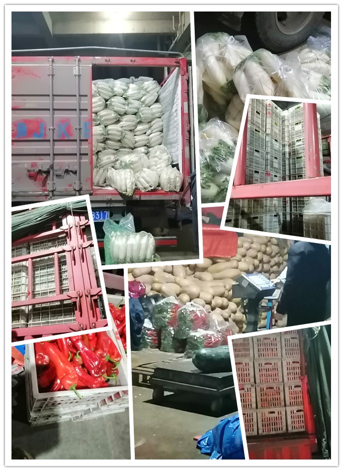 bti体育平台·(中国)官方网站