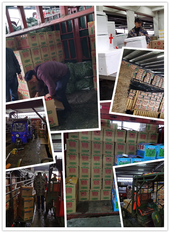 bti体育平台·(中国)官方网站