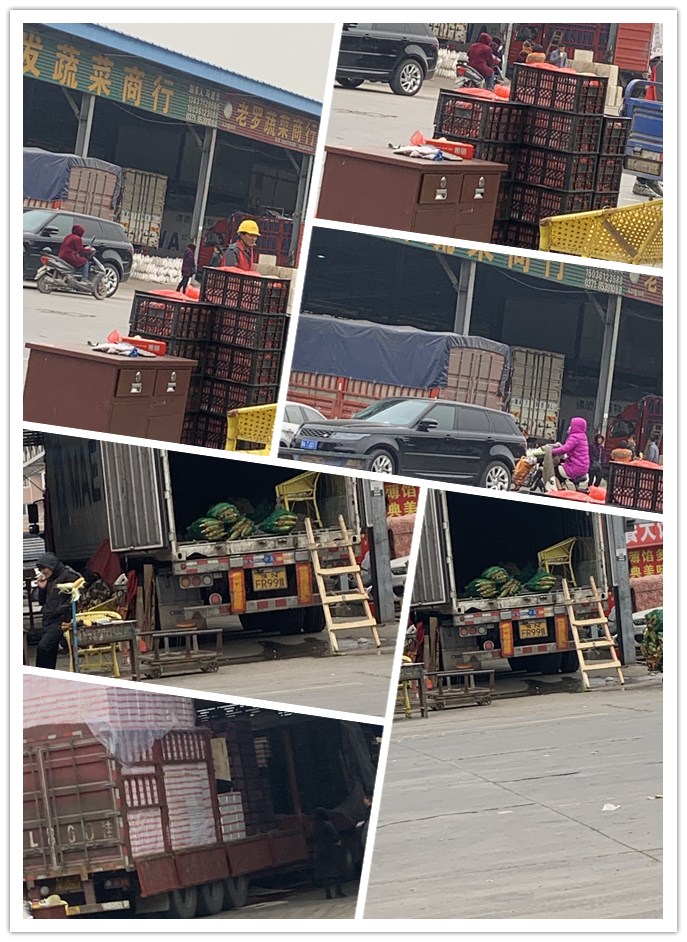 bti体育平台·(中国)官方网站