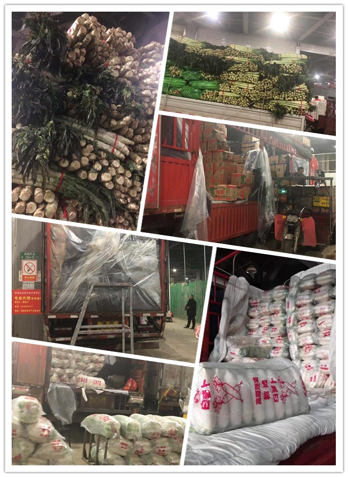 bti体育平台·(中国)官方网站