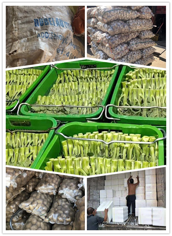 bti体育平台·(中国)官方网站