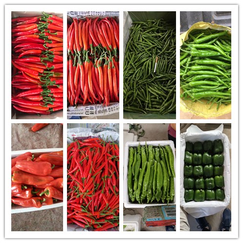 bti体育平台·(中国)官方网站