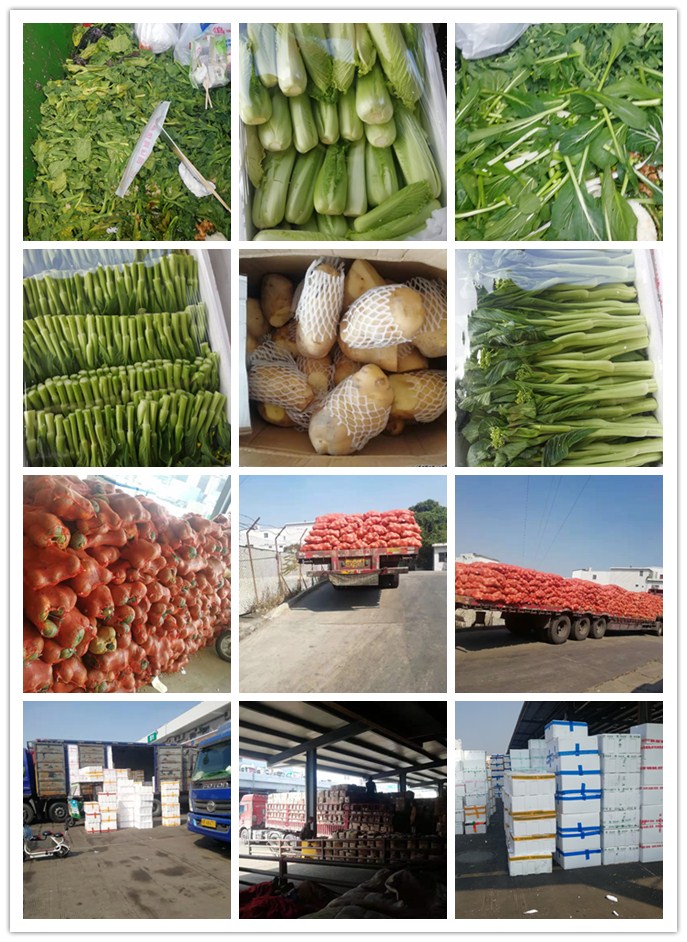 bti体育平台·(中国)官方网站