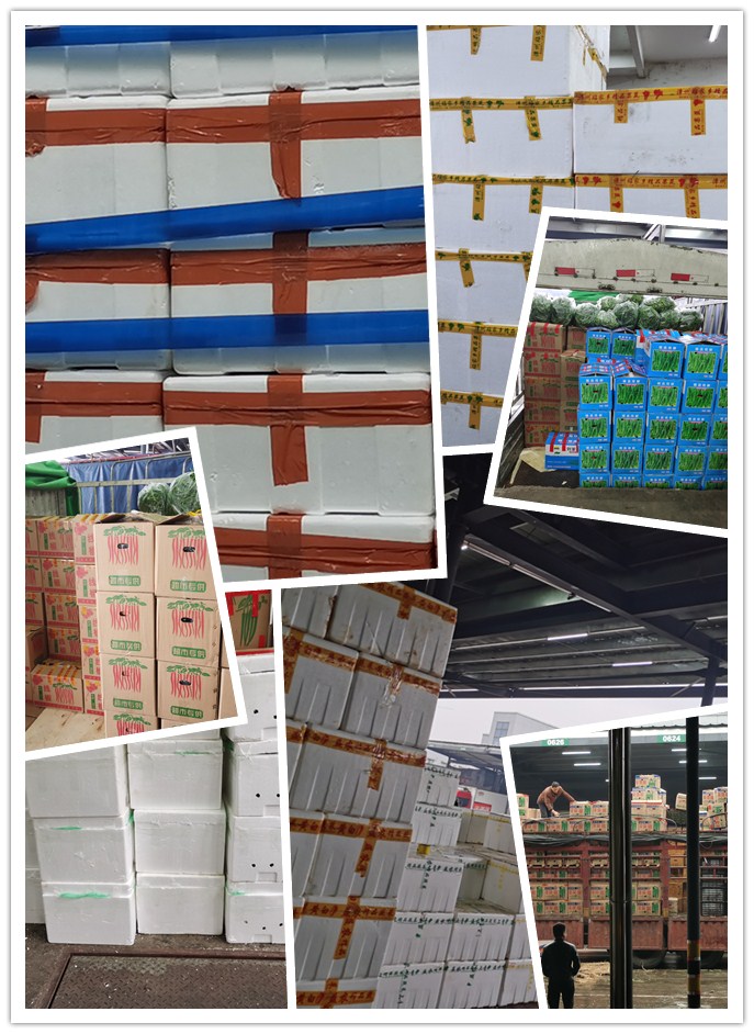 bti体育平台·(中国)官方网站