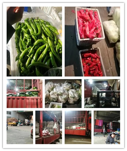 bti体育平台·(中国)官方网站