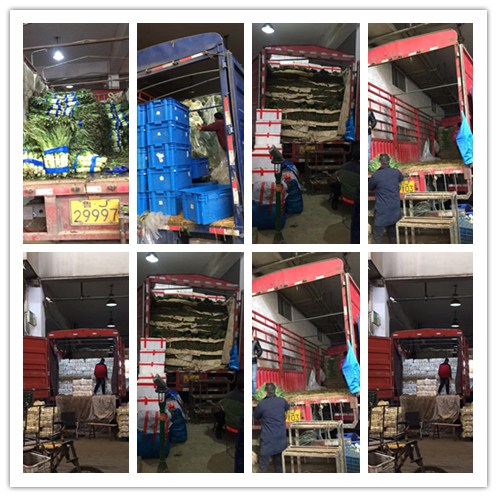 bti体育平台·(中国)官方网站