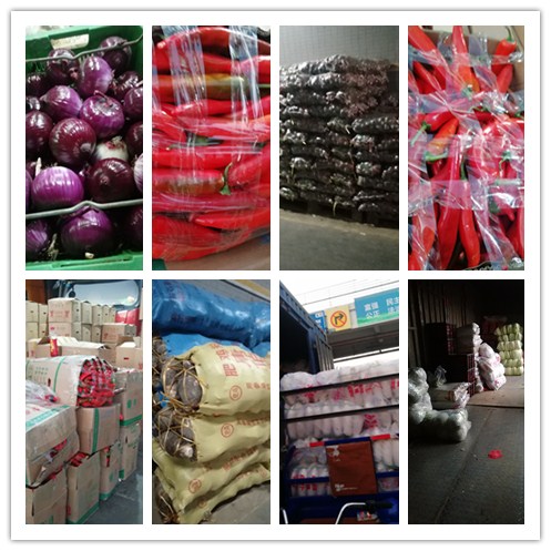 bti体育平台·(中国)官方网站