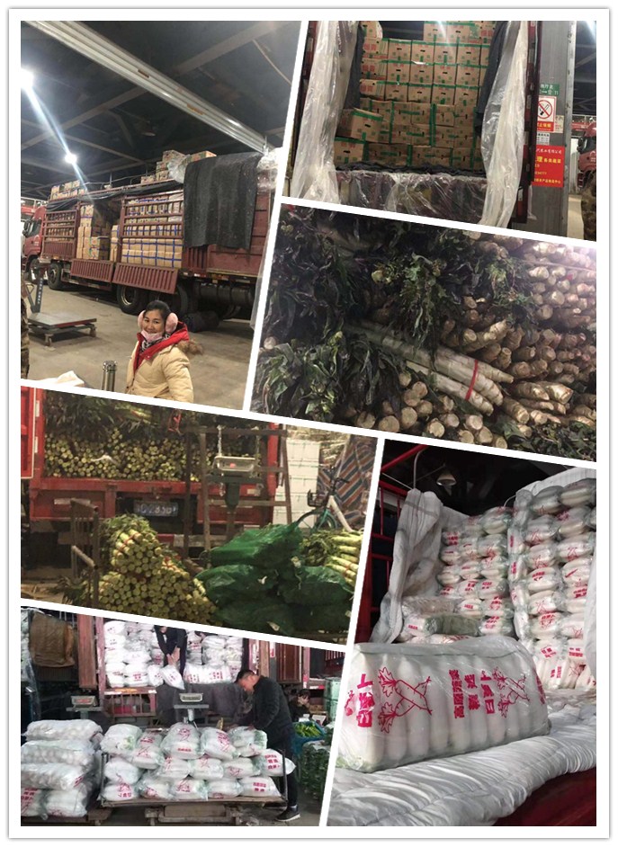 bti体育平台·(中国)官方网站