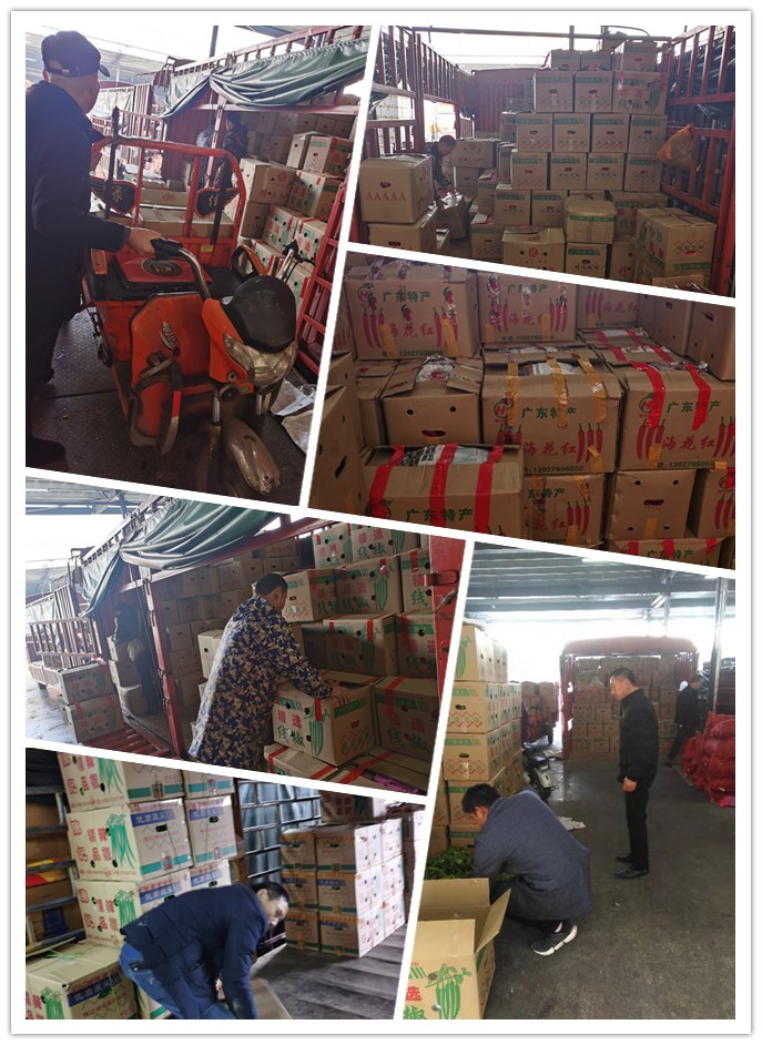 bti体育平台·(中国)官方网站