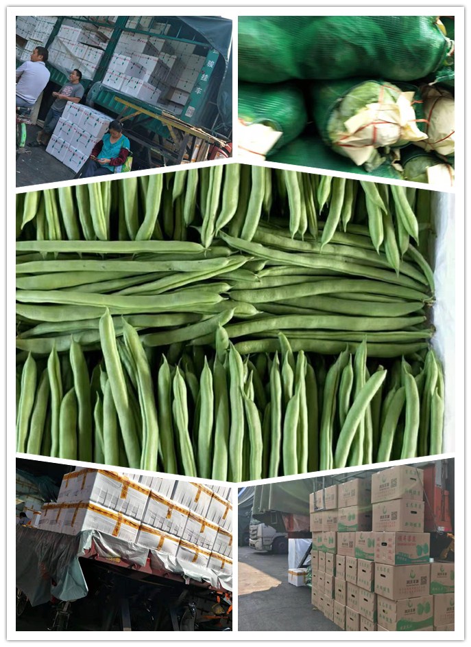 bti体育平台·(中国)官方网站