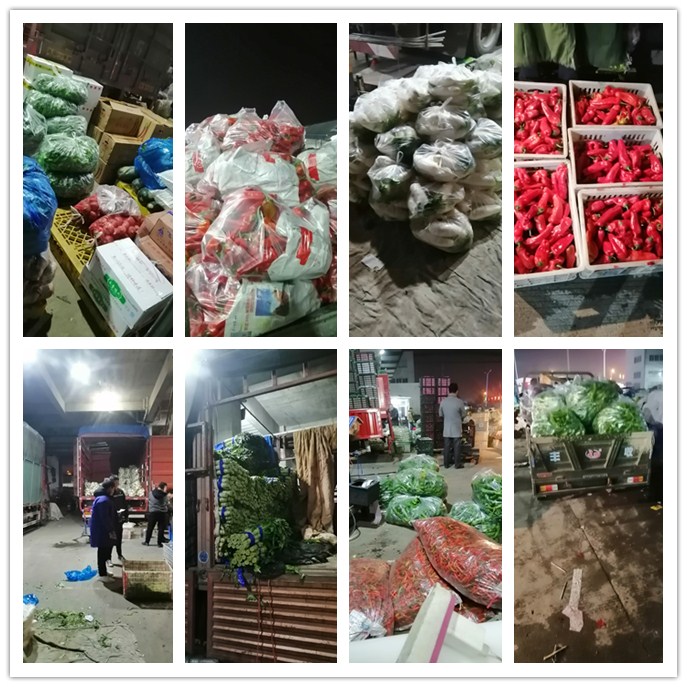 bti体育平台·(中国)官方网站