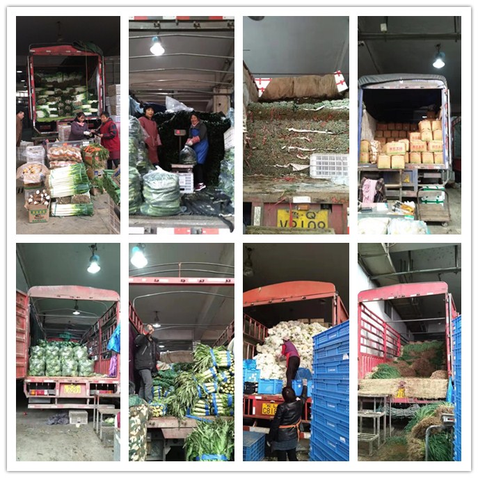 bti体育平台·(中国)官方网站