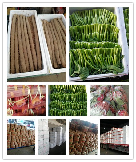 bti体育平台·(中国)官方网站