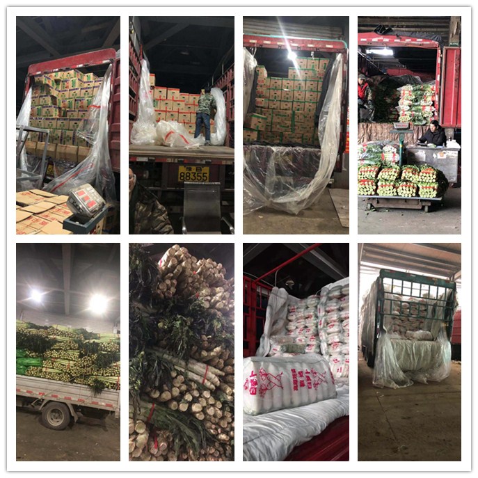 bti体育平台·(中国)官方网站