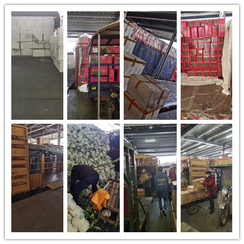 bti体育平台·(中国)官方网站