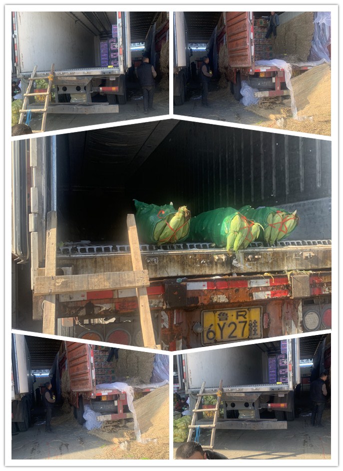 bti体育平台·(中国)官方网站