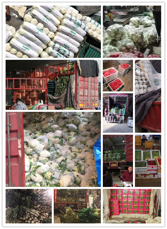 bti体育平台·(中国)官方网站