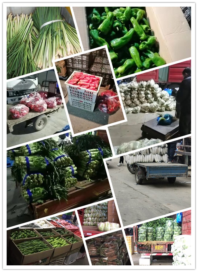 bti体育平台·(中国)官方网站