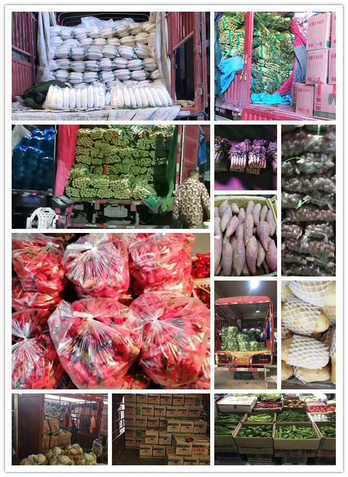 bti体育平台·(中国)官方网站