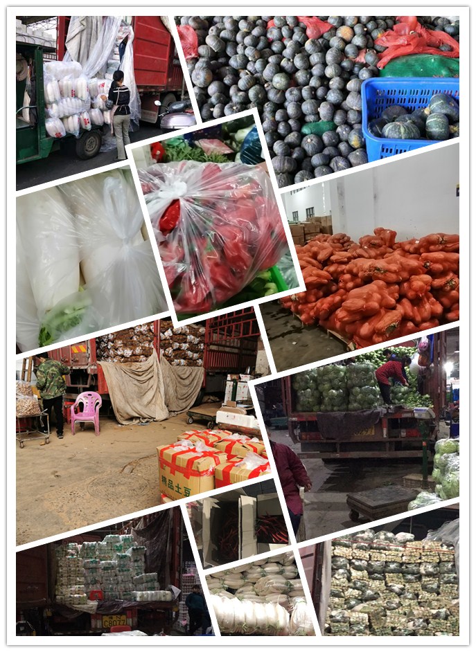 bti体育平台·(中国)官方网站