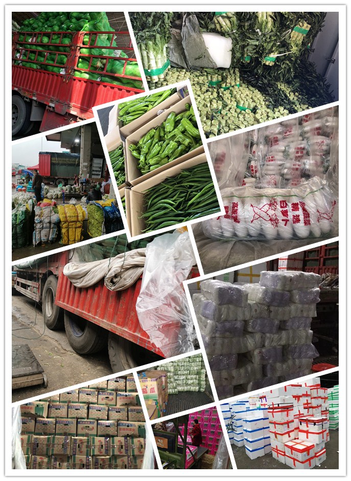 bti体育平台·(中国)官方网站