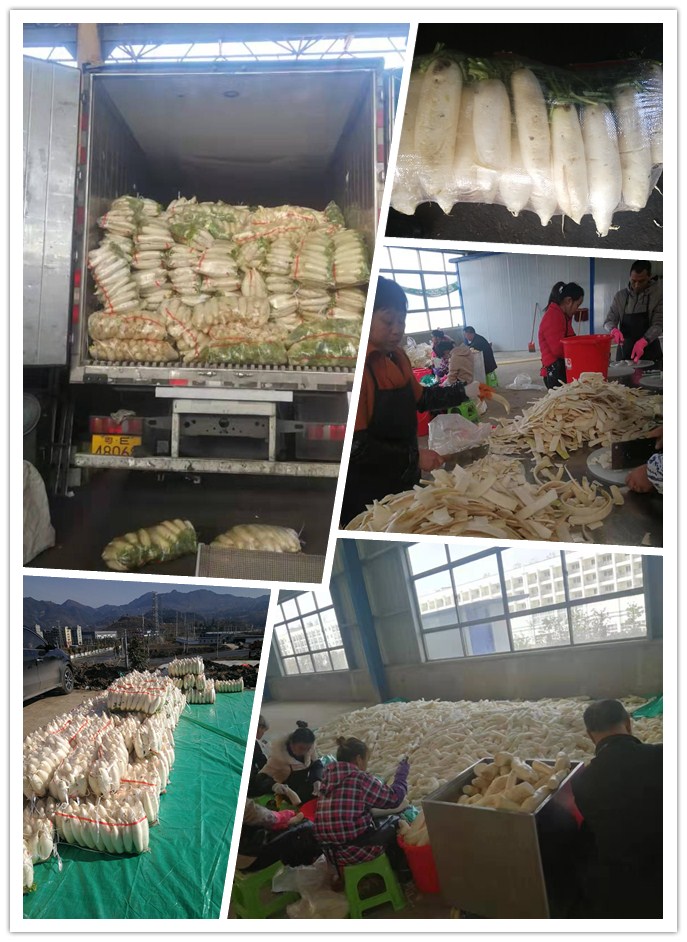 bti体育平台·(中国)官方网站