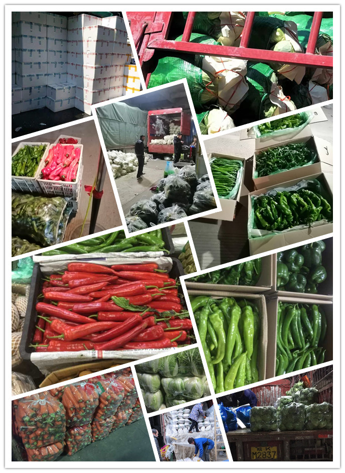 bti体育平台·(中国)官方网站