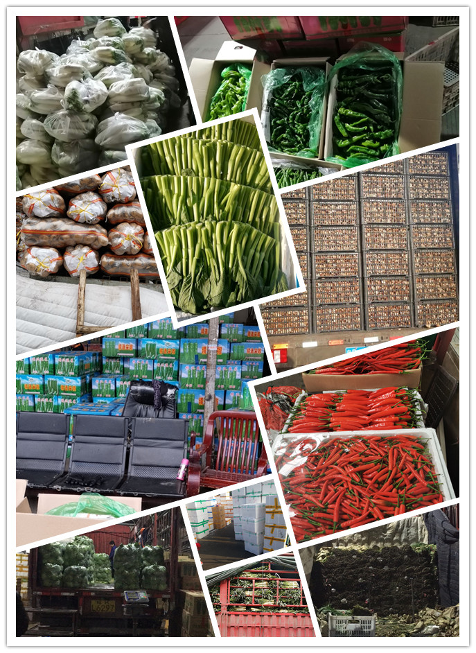 bti体育平台·(中国)官方网站