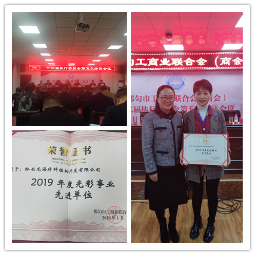 bti体育平台·(中国)官方网站