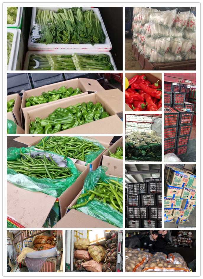 bti体育平台·(中国)官方网站