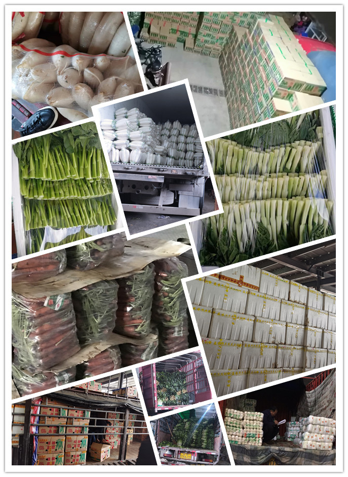 bti体育平台·(中国)官方网站