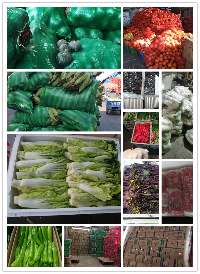 bti体育平台·(中国)官方网站