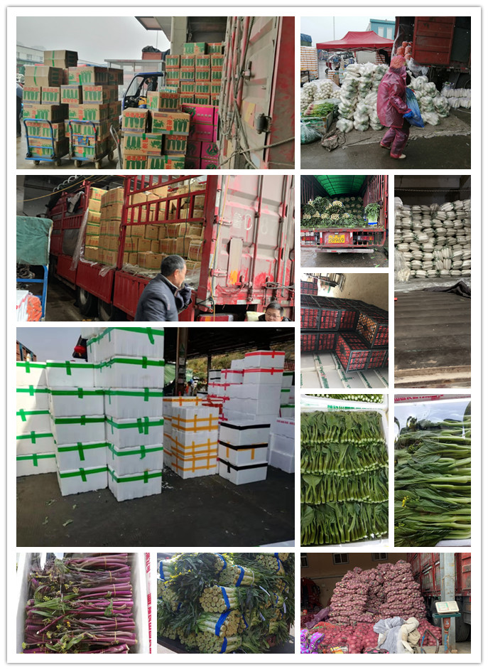 bti体育平台·(中国)官方网站