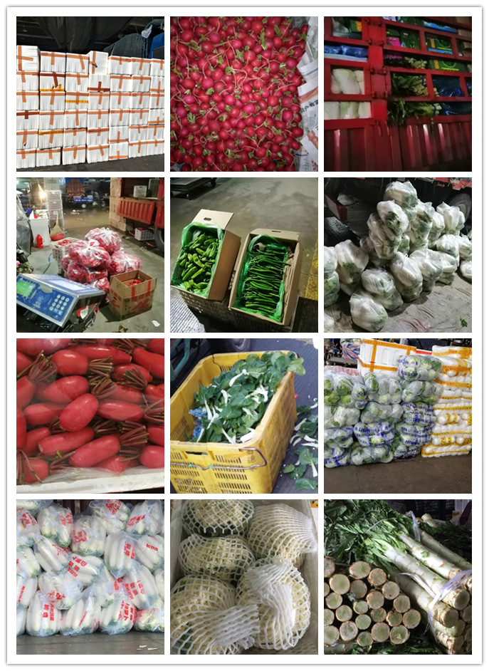 bti体育平台·(中国)官方网站