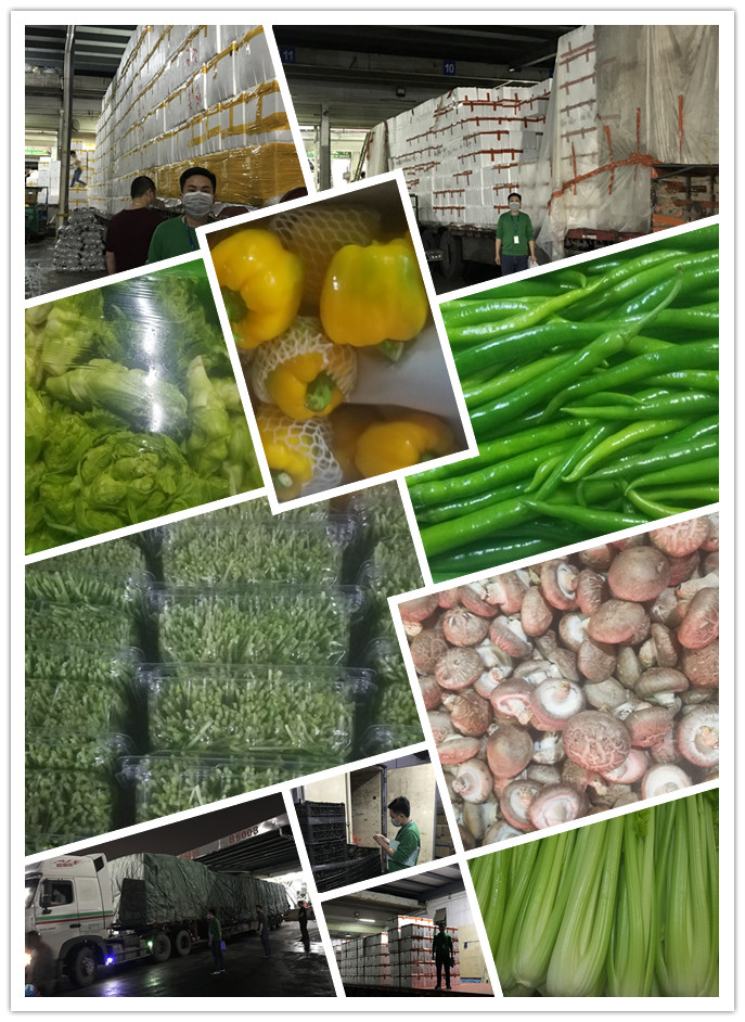 bti体育平台·(中国)官方网站