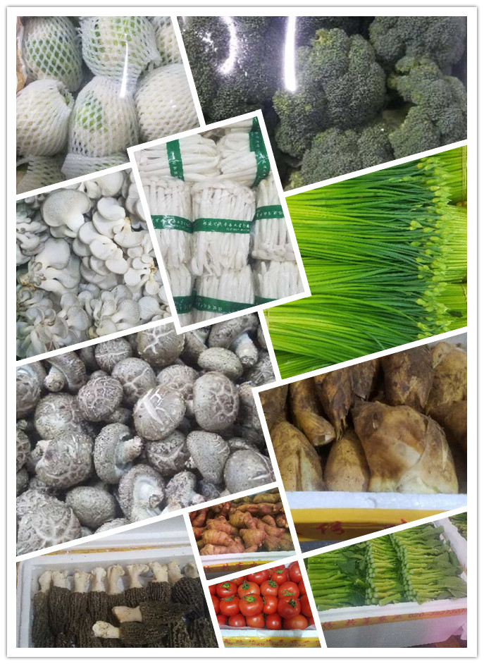 bti体育平台·(中国)官方网站