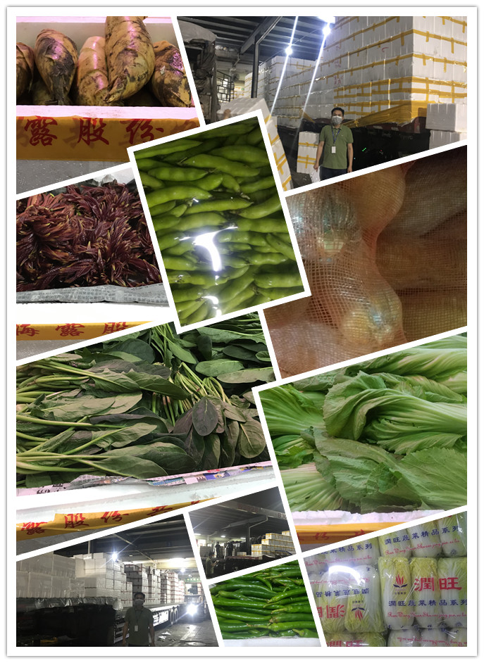 bti体育平台·(中国)官方网站