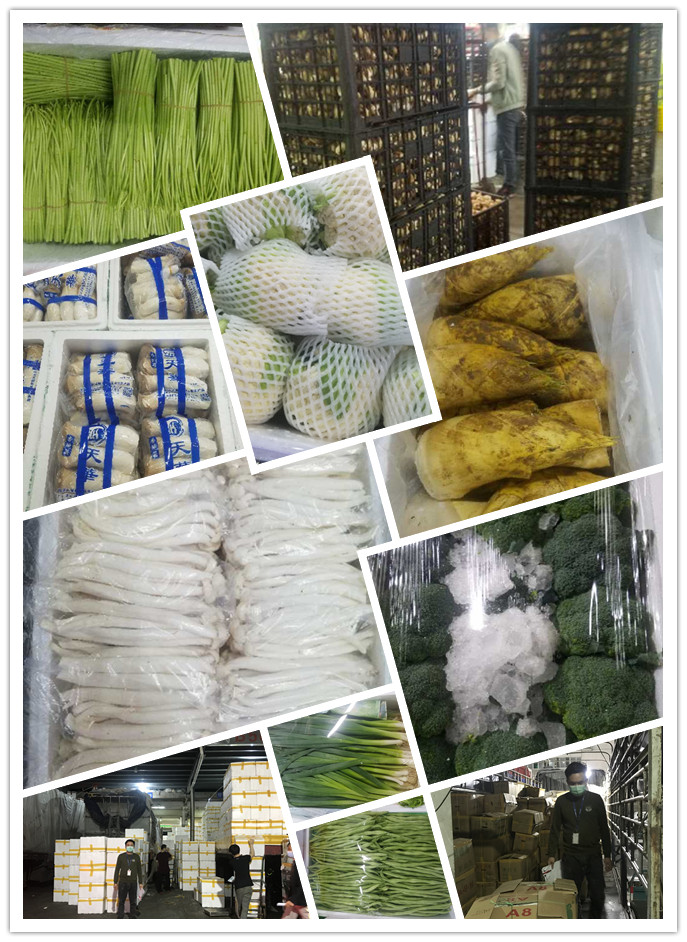 bti体育平台·(中国)官方网站