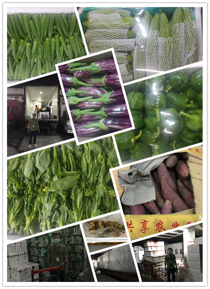 bti体育平台·(中国)官方网站