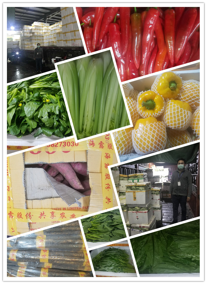 bti体育平台·(中国)官方网站