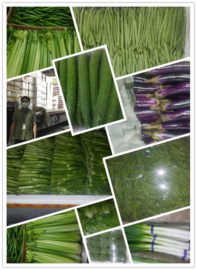 bti体育平台·(中国)官方网站