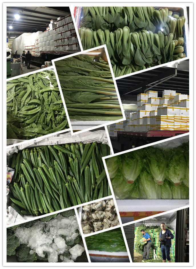 bti体育平台·(中国)官方网站