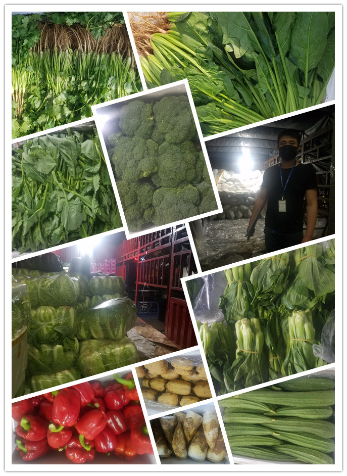 bti体育平台·(中国)官方网站