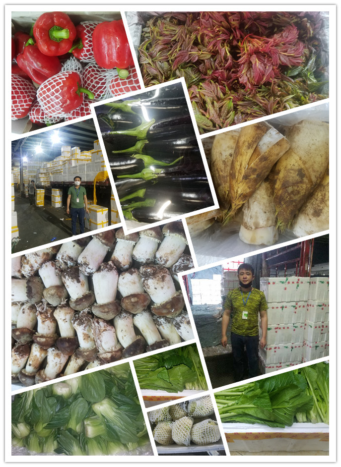 bti体育平台·(中国)官方网站