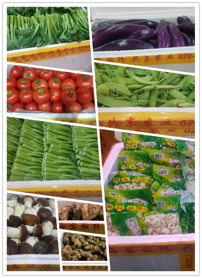 bti体育平台·(中国)官方网站