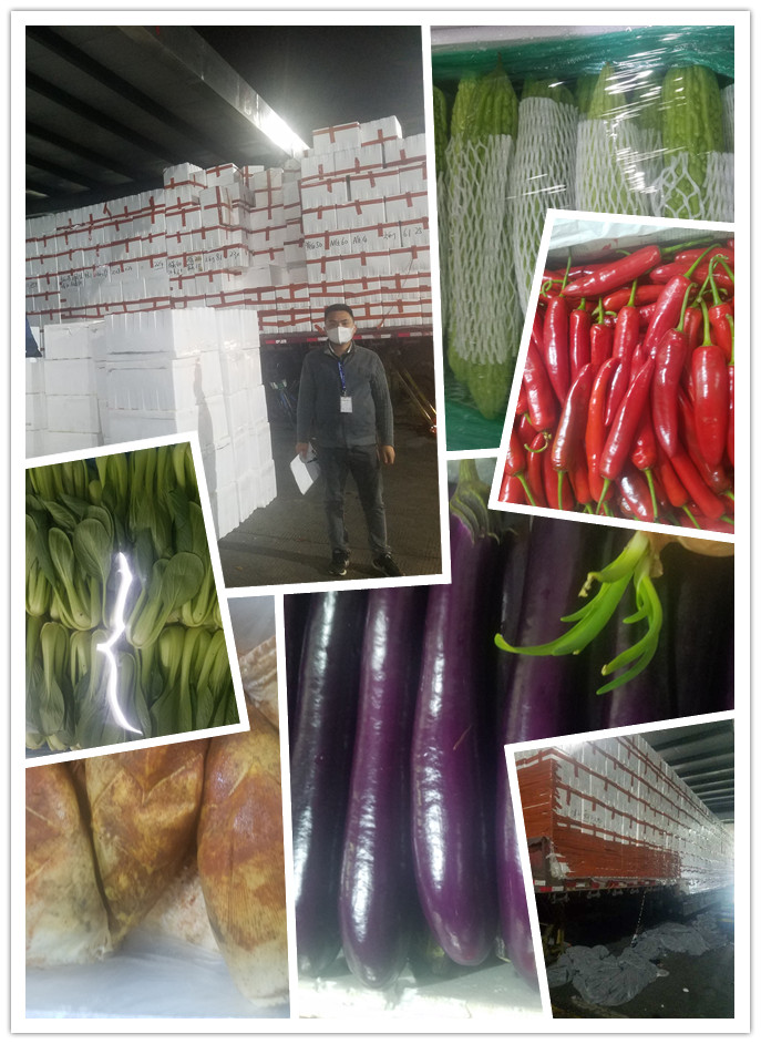 bti体育平台·(中国)官方网站