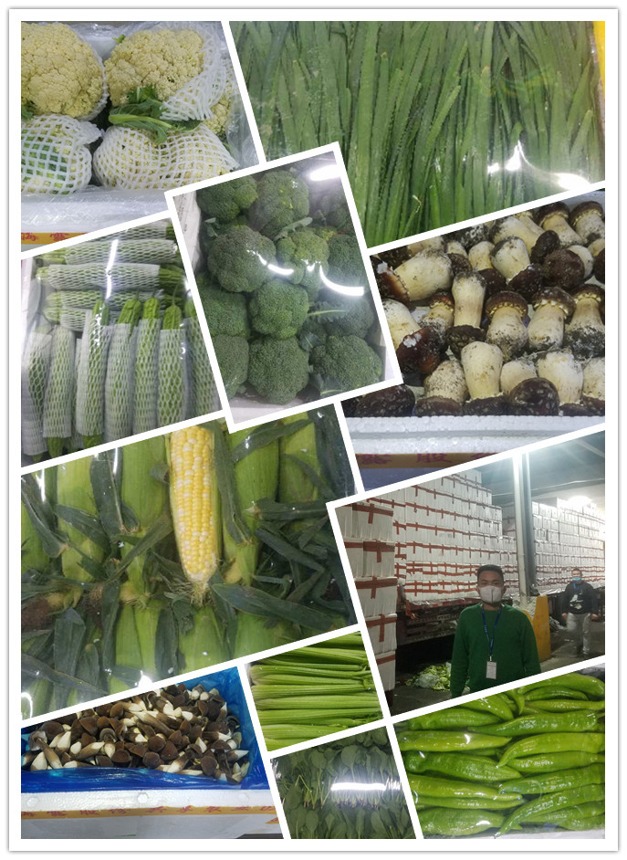 bti体育平台·(中国)官方网站