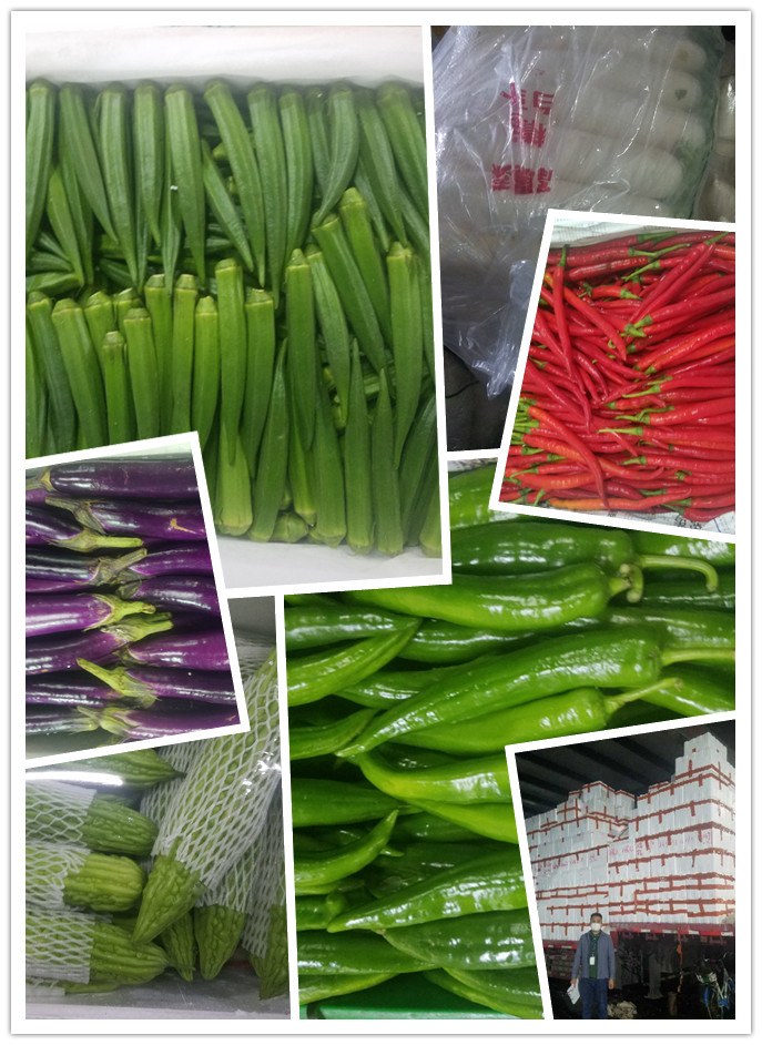 bti体育平台·(中国)官方网站