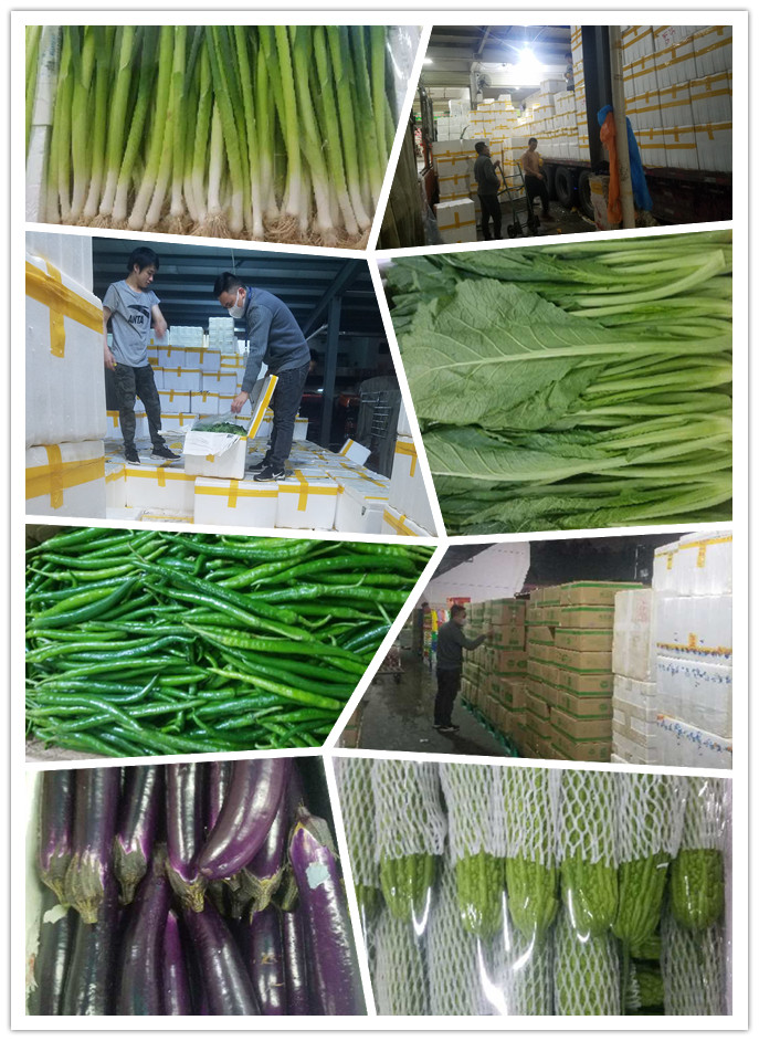 bti体育平台·(中国)官方网站